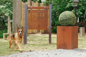 Oldfield Forge Ltd is a family run blacksmithing company combining traditional blacksmithing techniques and craftsmanship with modern technology to produce the finest quality bespoke ironmongery for homes and businesses.